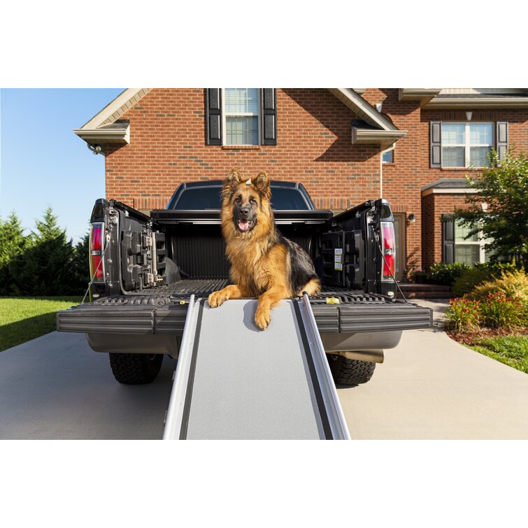 Petsafe solvit deluxe telescoping pet outlet ramp